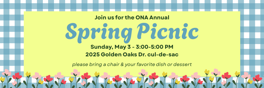 Spring Picnic invitation graphic